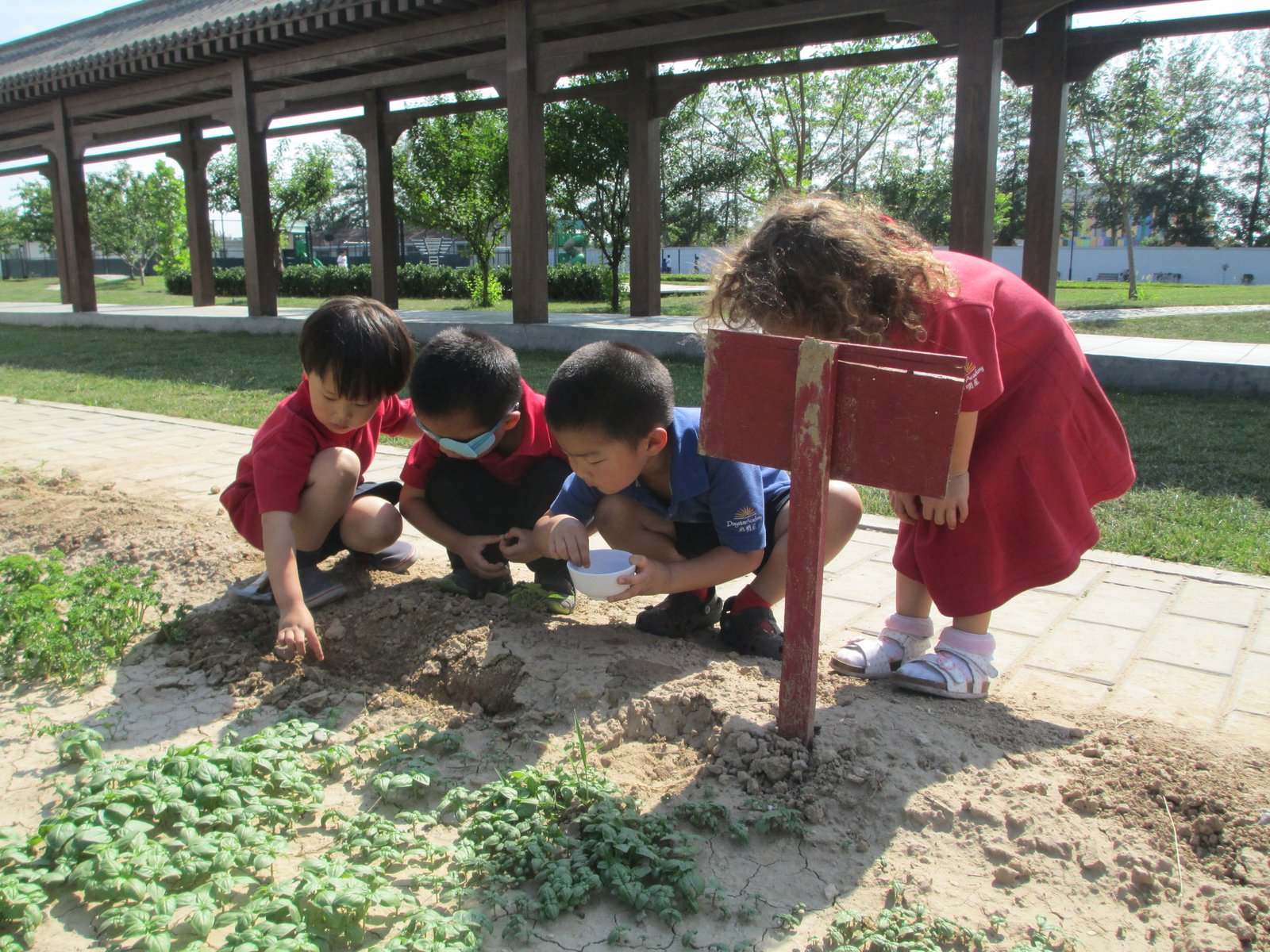 Children sorting recycling